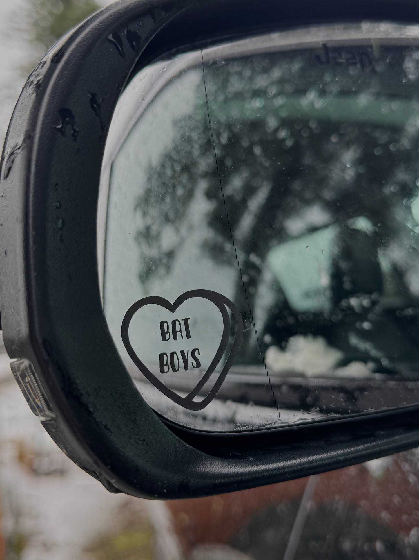 Bat Boys ACOTAR (Bumper) Sticker